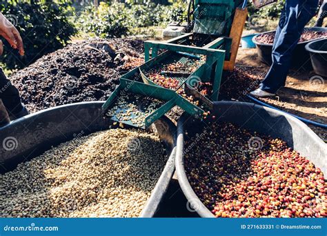 Pulping Process With Steam Rising From The Tank Royalty Free Stock