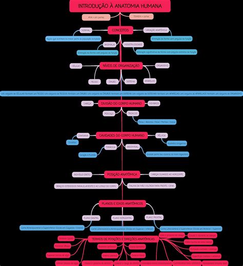 Mapas Mentais Sobre Anatomia Humana Study Maps