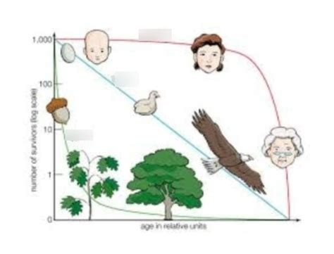 Biology Ecology Diagram Quizlet