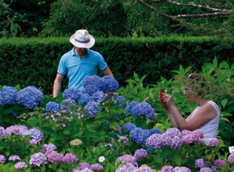 Visit Hortus Botanicus Haren Groningen