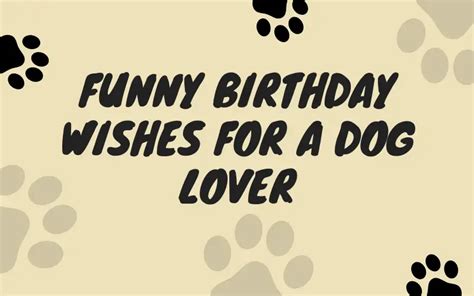 52 Funny Birthday Wishes For A Dog Lover I Wish You