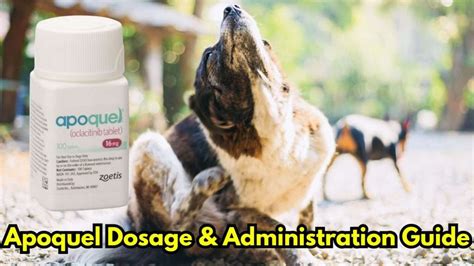 Apoquel Uses For Dogs Safety Dosage Side Effects And Cost