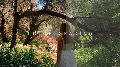 Color Grading Techniques In Davinci Resolve Showreel Youtube