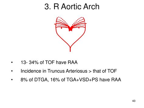 Ppt Aortic Arch Anomalies Powerpoint Presentation Free Download Id