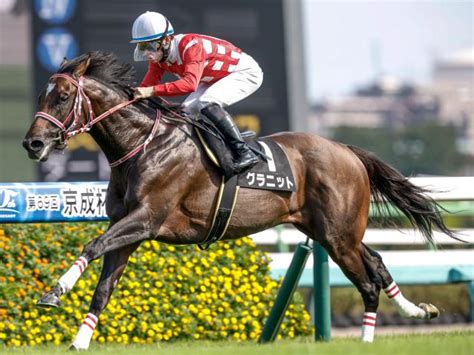 【白井特別レース後コメント】グラニット永野猛蔵騎手ら 競馬ニュース Netkeiba