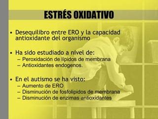 Efecto Del Estres Oxidativo En El Autismo PPT