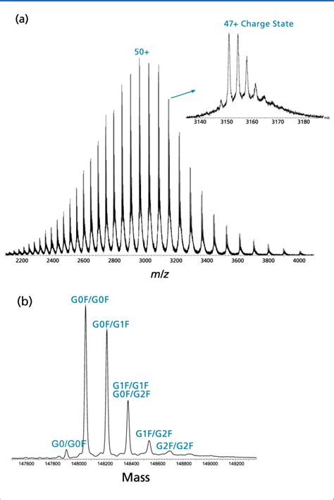 A Combined Esi Qtof Mass Spectrum Of An Intact Igg For The G