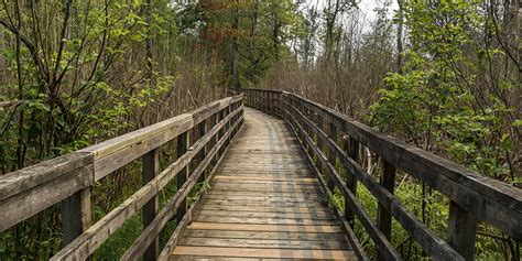 Visiting Ontario Parks Responsibly: How to Enjoy and Protect Our Parks