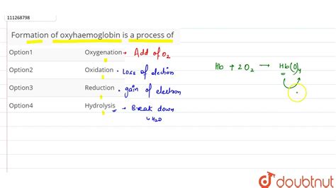 Formation of oxyhaemoglobin is a process of - YouTube