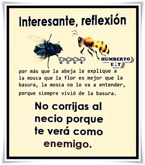 Dignidad Regional On Twitter El Capitalista Abeja Nunca Podr