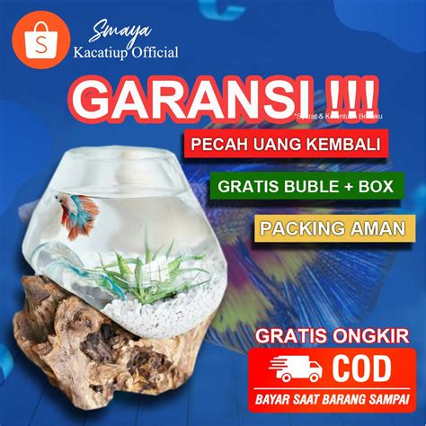 Jual Aquarium Cupang Aquarium Akuarium Ikan Hias Kaca Akrilik Kecil