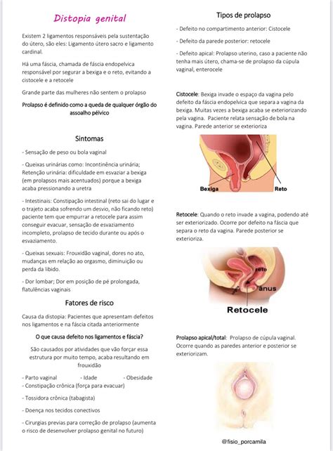 Resumo De Fisioterapia Na Sa De Da Mulher Camila Tabosa Monteiro