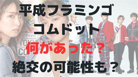 平成フラミンゴとコムドットに何があった？説明に矛盾が？絶交の可能性も なんじゃもんじゃ