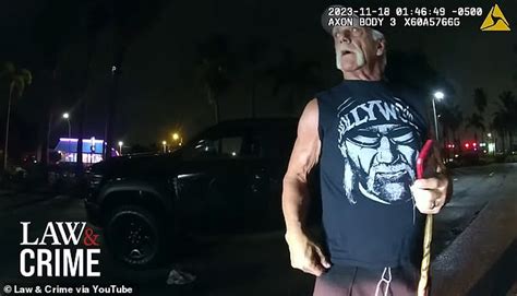 Moment Hulk Hogan S Son Nick Is Arrested For Dui And His Porn Star