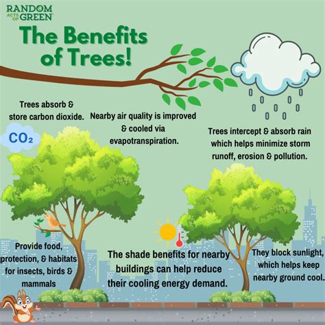 Benefits Of Trees For People Places Planet