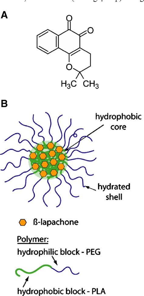 Figure 1 From Beta Lapachone Containing PEG PLA Polymer Micelles As