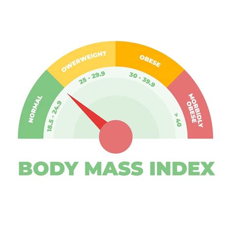 Premium Vector Bmi Or Body Mass Index Meter Vector Illustration