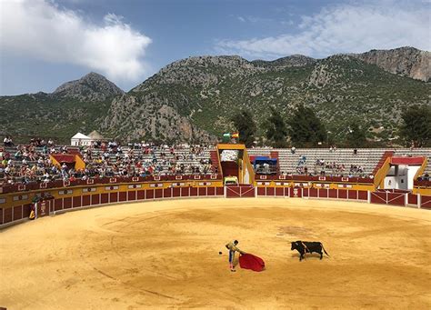 Lo Cuenta Pla Ventura El Tonto No Descansa Toros De Lidia