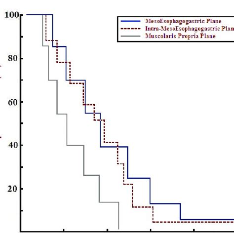 Stratified Stage Iiic 5 Years Survival Curves Survival Was 12 5 For Download Scientific