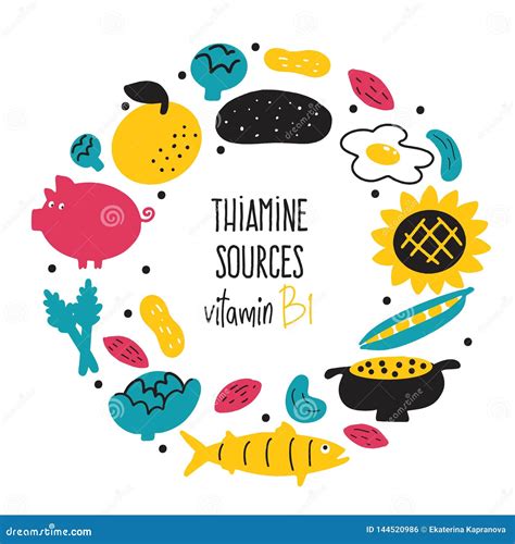 Vitamin B 1 Food Sources Thiamine Vector Cartoon Illustration Round