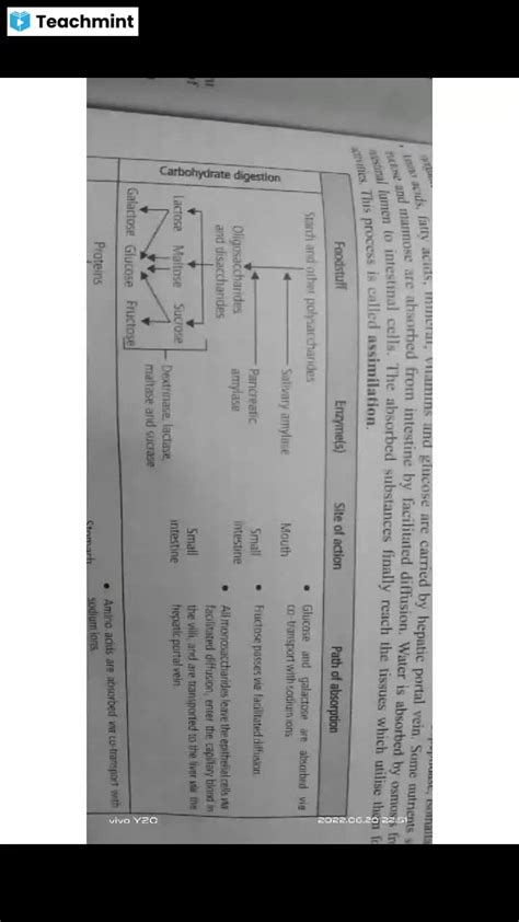 Anand Sir Biology Classes Teachmint