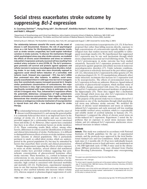 Pdf Social Stress Exacerbates Stroke Outcome By Suppressing Bcl