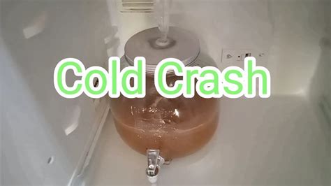 Cold Crash Kit Cerveza Brewolution Juicy Jane S Ddh Neipa Cerveza