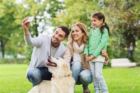 Top Tips for Photographing Your Pets - Jetpets AU