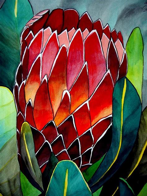 Protea Painting By Sacha Grossel Fine Art America