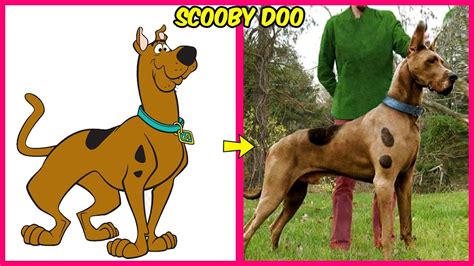 🐕 Scooby Doo 🔥 Real Life Youtube