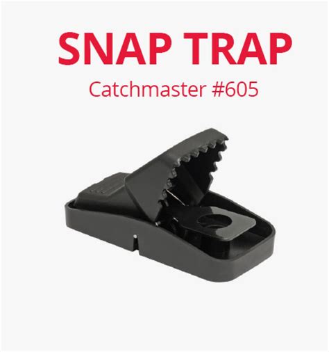 Catchmaster Ez Set Rat Trap Rat Traps Rat Bait Stations Rodent Control