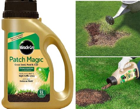 1015g Patch Magic Miracle Gro