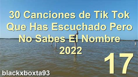 30 CANCIONES De TIK TOK Que Has ESCUCHADO Pero NO Sabes El NOMBRE 2023