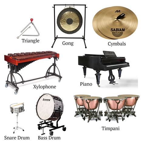 6 Types Of Drums Used In An Orchestra Jamaddict