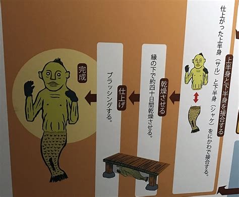 人魚のミイラ岡山は偽物か本物か？ct解析の結果は大英博物館にある？作り方は Youtuber人物事典