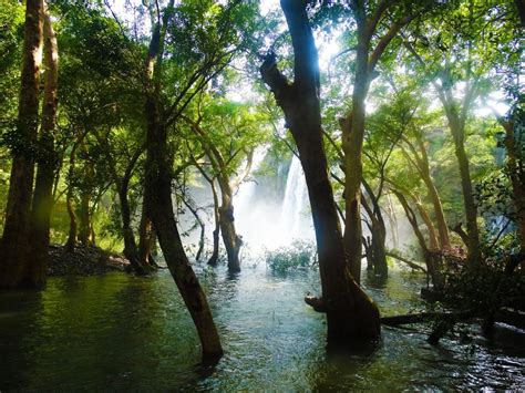 Rawatbhata: Do You Know About This Hidden Oasis Of Rajasthan - Tripoto