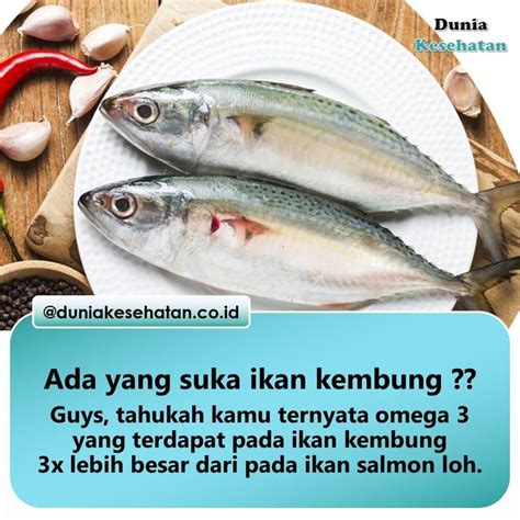 Jenis Ikan Laut Konsumsi Di Indonesia Perangkat Sekolah