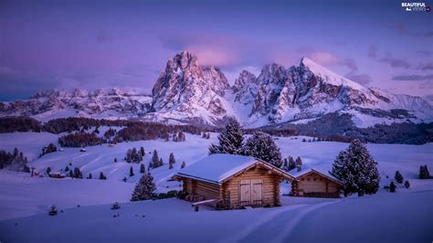 Trentino-Alto Adige, Italy, Dolomites Mountains, Seiser Alm Meadow ...