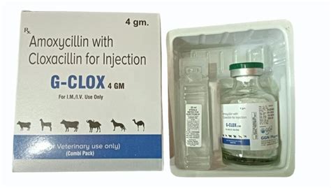 Amoxycillin Cloxacillin Injection Gm Latest Price Manufacturers