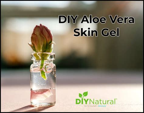 Aloe Vera Gel for Skin: Making Your Own Aloe Skin Gel is Simple and Fun!