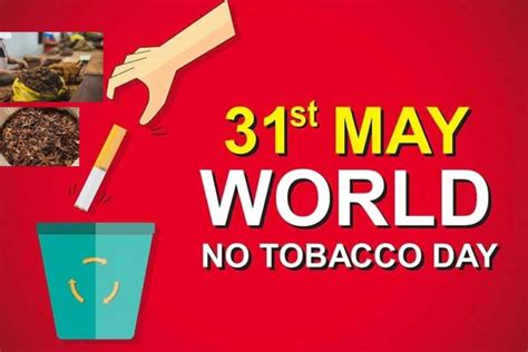 World No Tobacco Day 2024 जानें कब और क्यों मनाया जाए है विश्व तंबाकू