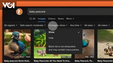 duckduckgo browser  features  hide ai  images