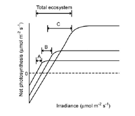 Ecosystem Ecology Exam 1 Flashcards Quizlet