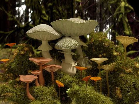 Mushroom Scene By Martin Bässler Nature 3d Cgsociety Nature 3d