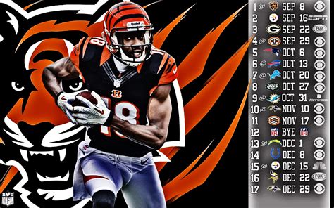 Cincinnati Bengals Wallpaper And Screensavers 77 Images