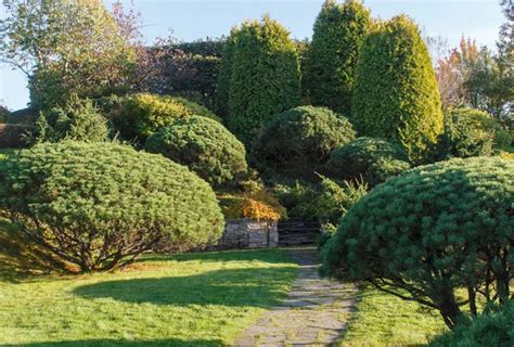 Cottage Garden With Green Lawn Trees And Trimmed Bushes Stock Image