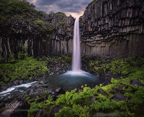 svartifoss  icelandic waterfall cutting   columnar basalt