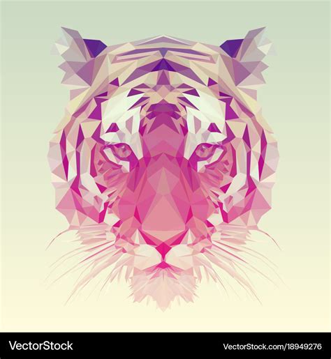 Polygonal tiger graphic design Royalty Free Vector Image