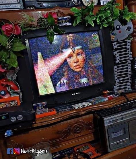 A Television Sitting On Top Of A Wooden Stand In Front Of A Plant