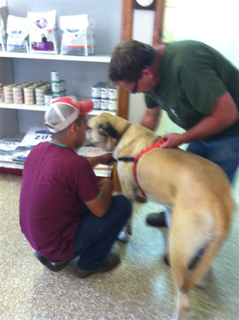 Hwy 181 Vet Clinic | Kenedy TX